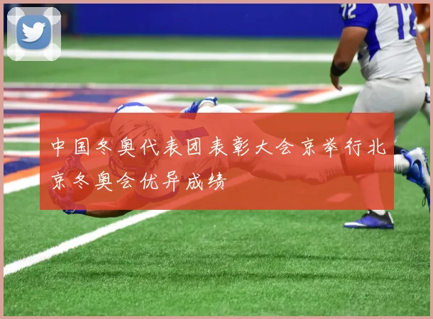 中国冬奥代表团表彰大会京举行北京冬奥会优异成绩