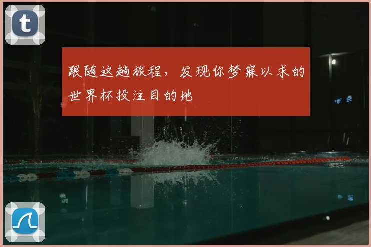 跟随这趟旅程,发现你梦寐以求的世界杯投注目的地